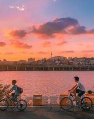 球探比分网足球即時比分-揭秘球探比分网，足球即时比分的幕后英雄与观赛新体验